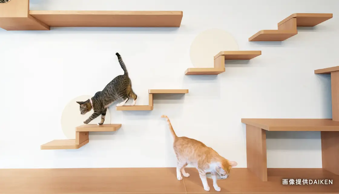 DAIKEN「ねこステップ」